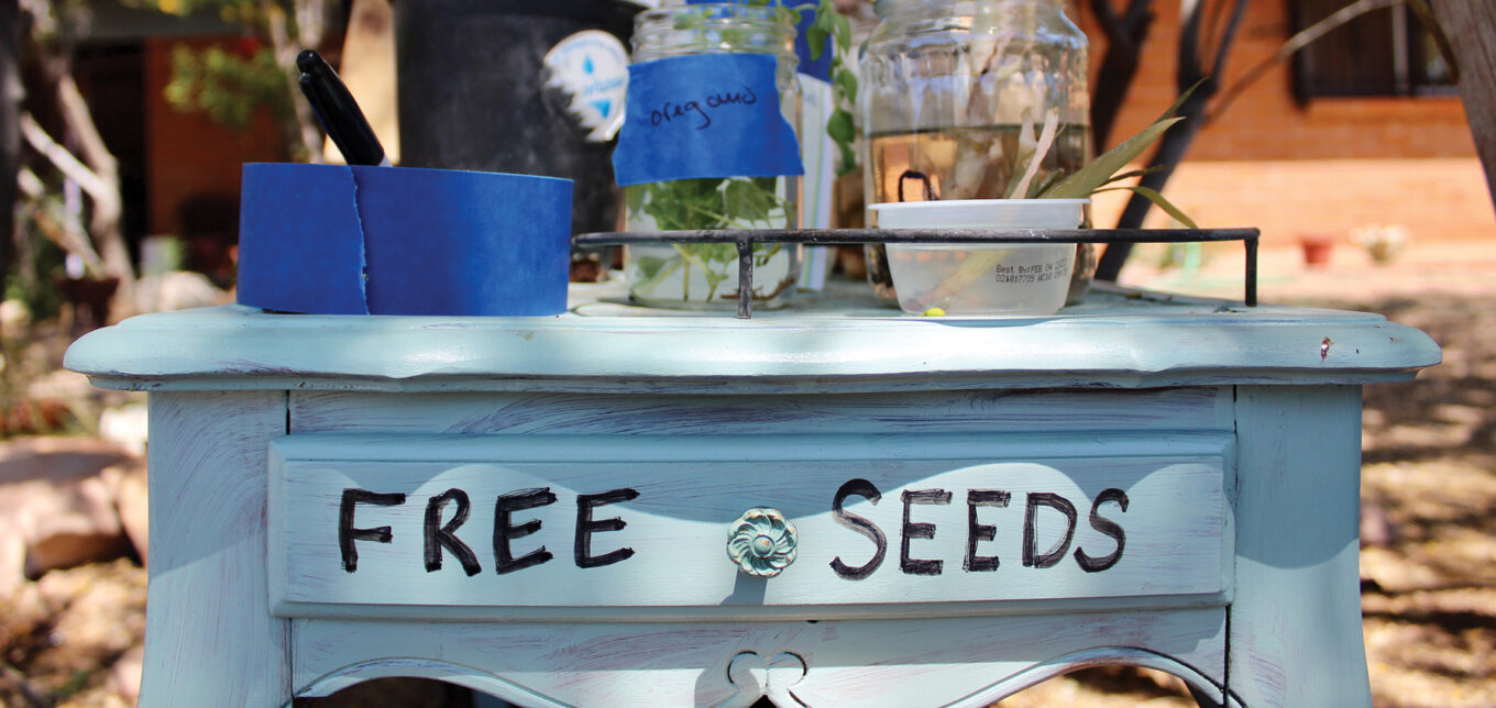 The Free Plant N Garden Stand: A Community Initiative â€" Mother Earth News - Vimarsana News